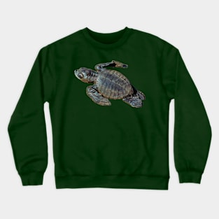 Baby Green Turtle Crewneck Sweatshirt